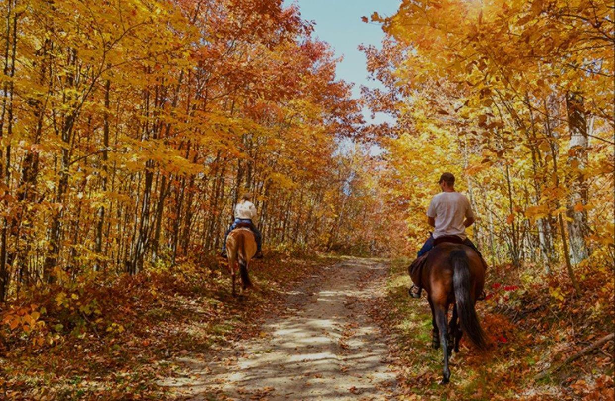 A Magical Experience Villa Pigeon Forge Ngoại thất bức ảnh